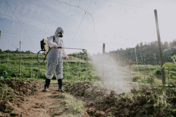Best Commercial Pest Control Services  in Smith Center, KS