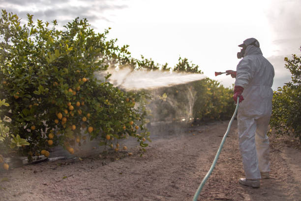 Best Best Pest Control Companies  in Smith Center, KS