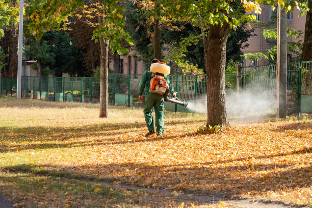 Best Pest Control for Homes  in Smith Center, KS