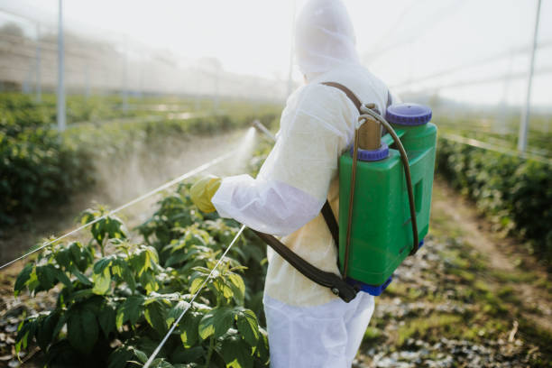 Best Mosquito Control Services  in Smith Center, KS